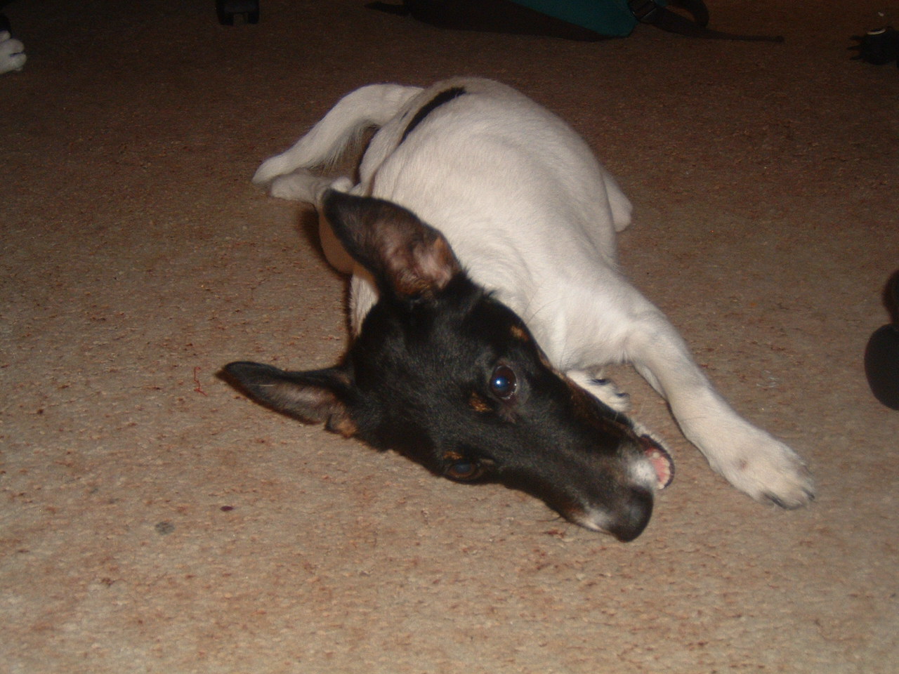 DSCF0014.JPG