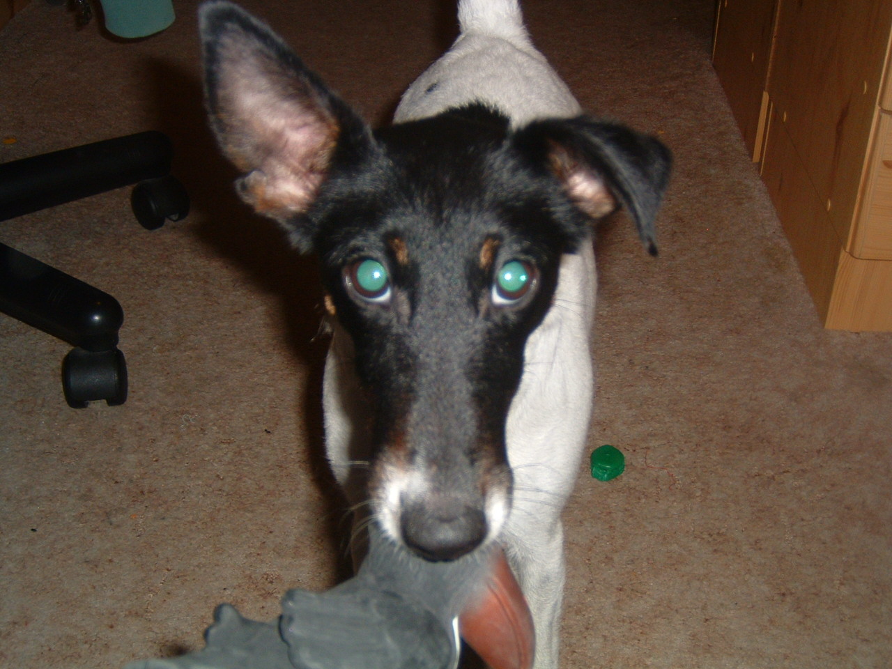 DSCF0020.JPG