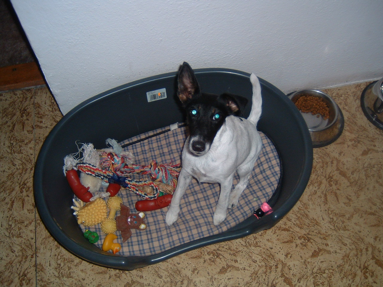 DSCF0258.JPG