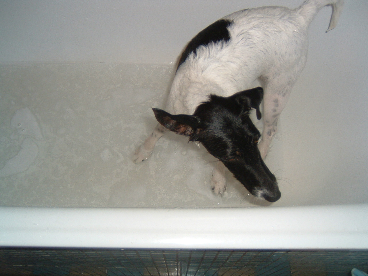 DSCF0270.JPG