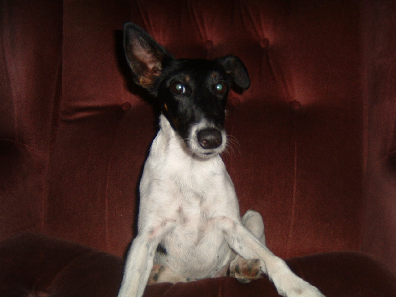 DSCF0249.JPG